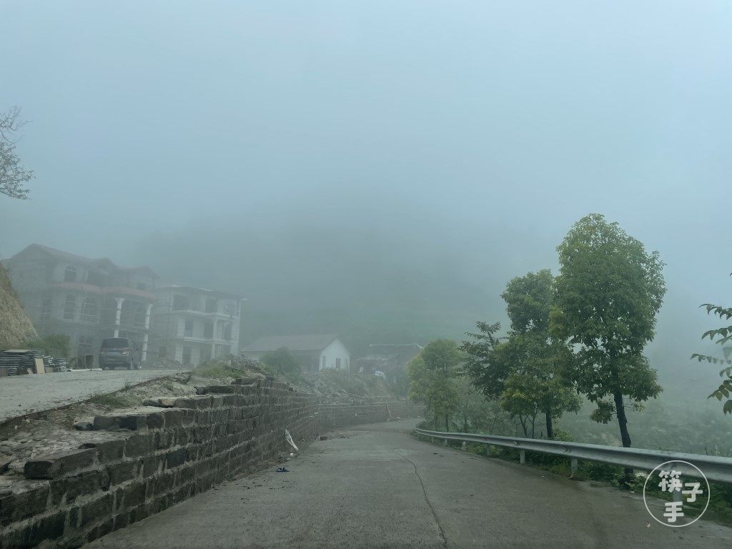路上大雾