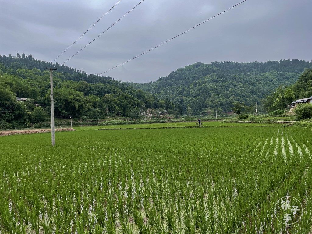 在高山村，睡一个好觉的配图