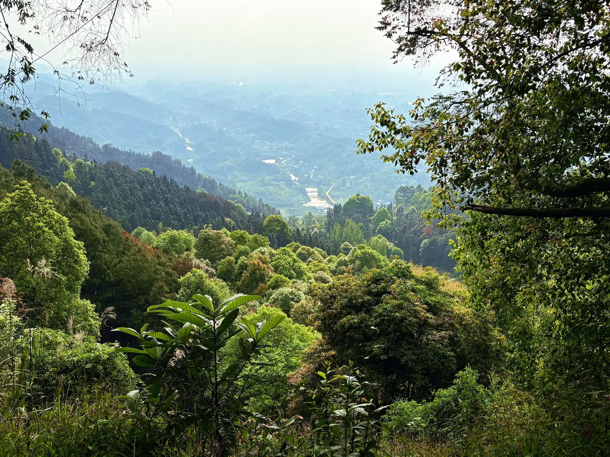 春日歧路：在荣昌 野徒步