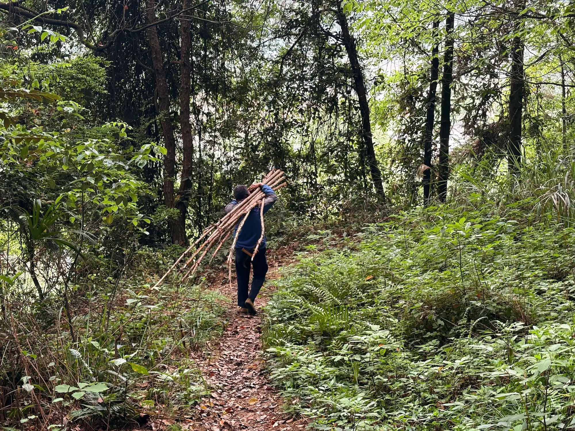 翻过五老山，遇见斐然湖的春天