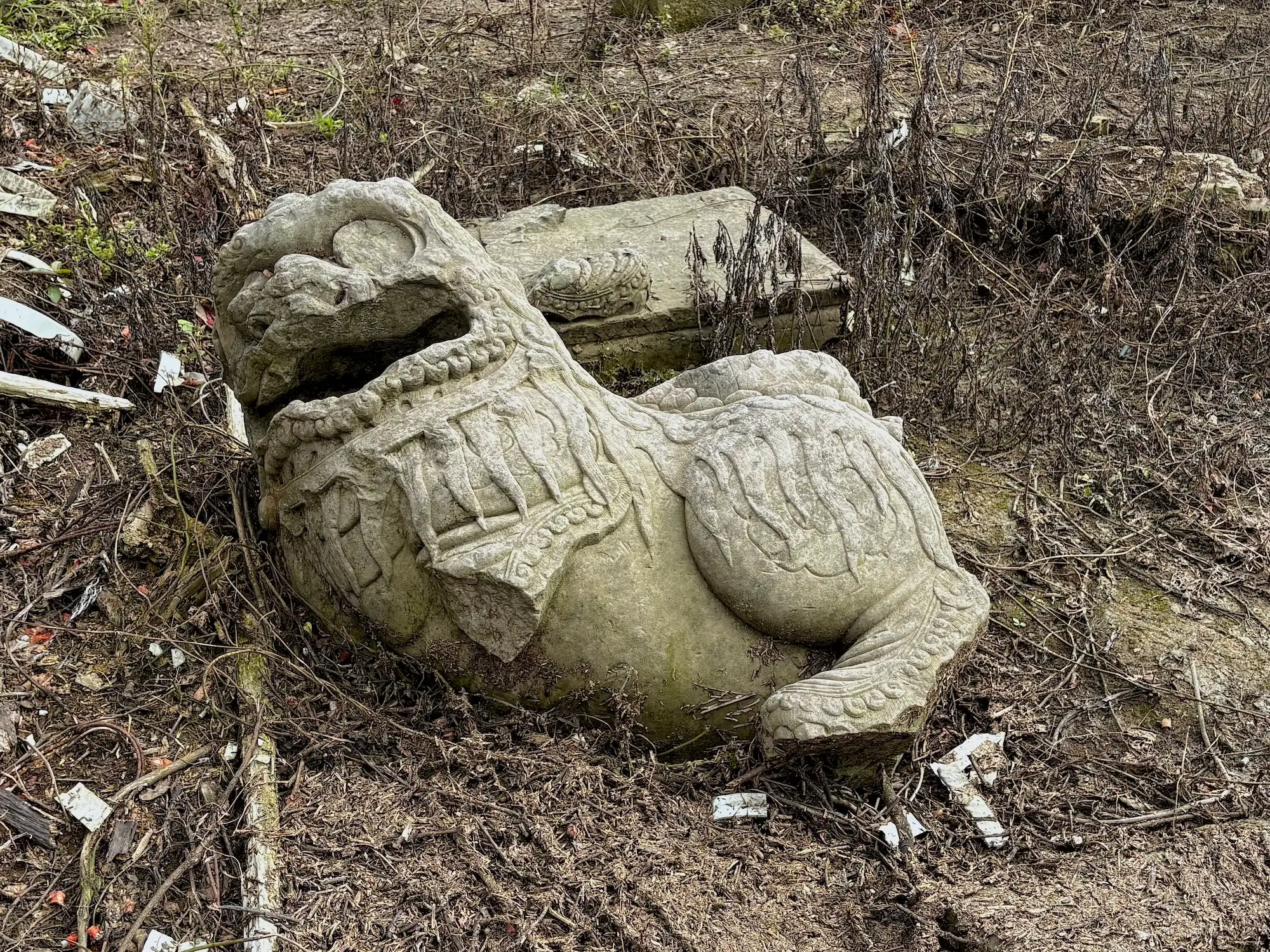 天宝寺遗址：从那条路去，过这座桥来