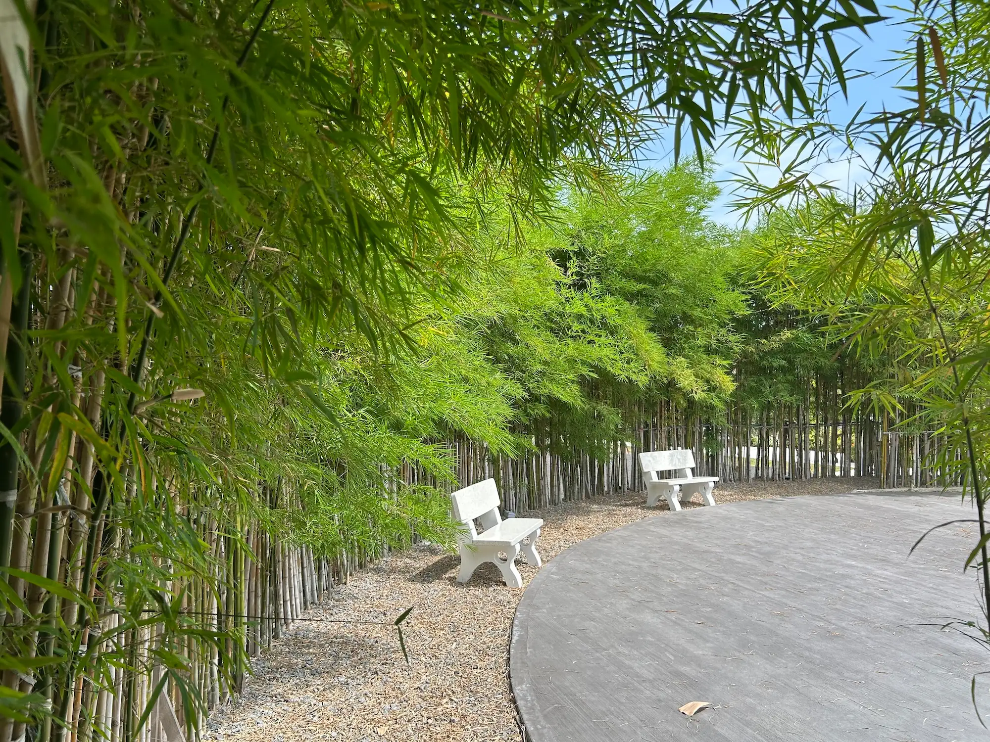 芙蓉：森美兰的江南梦