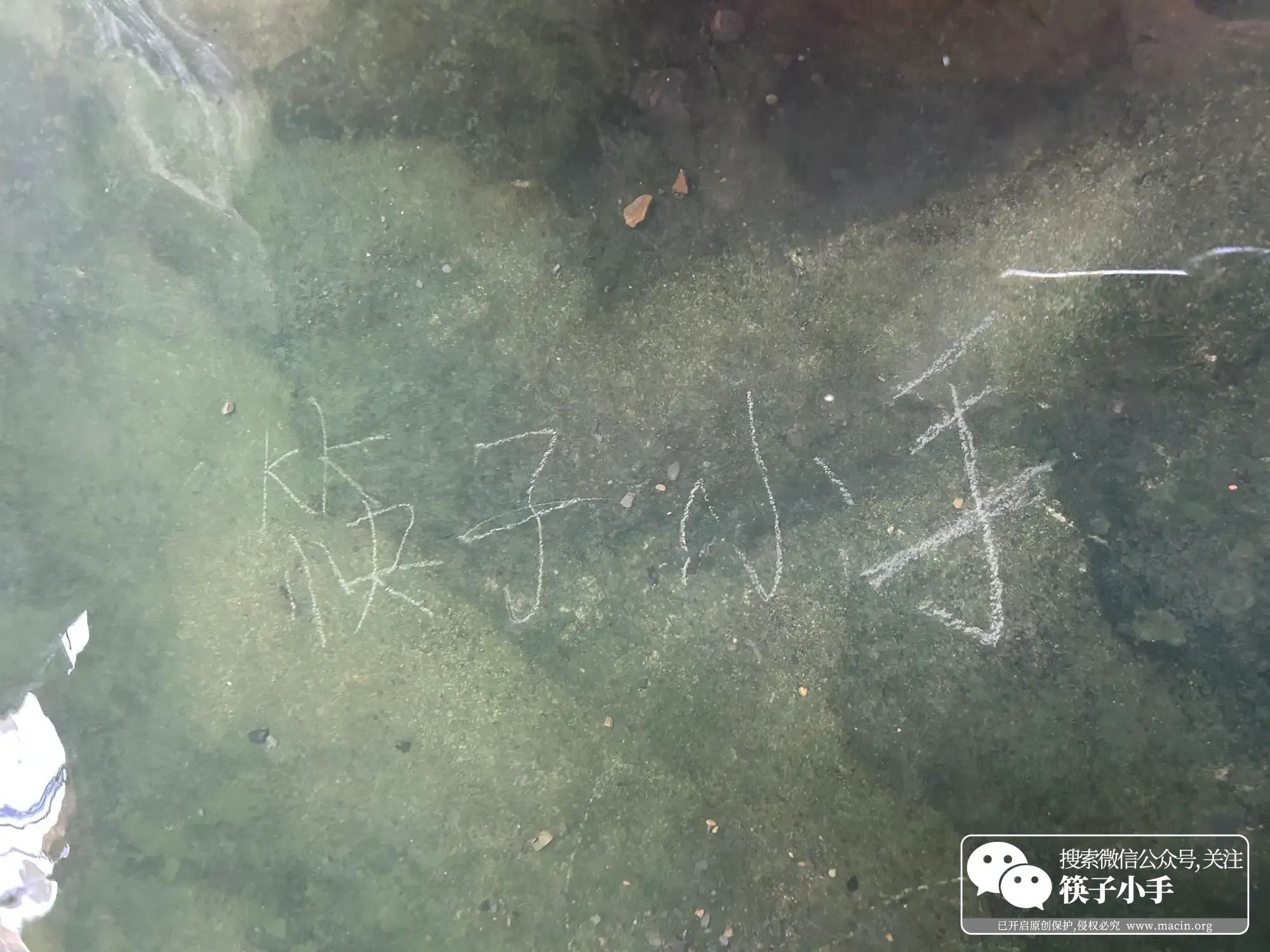 水里竟然有字